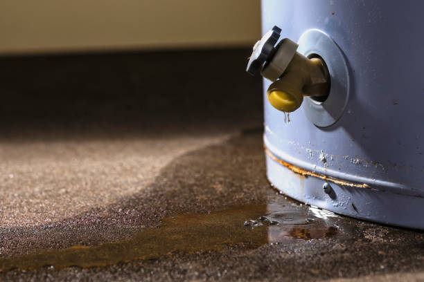 Best Basement water damage restoration  in Powhatan Point, OH