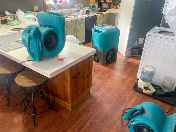Best Sewage cleanup and water damage restoration  in Powhatan Point, OH