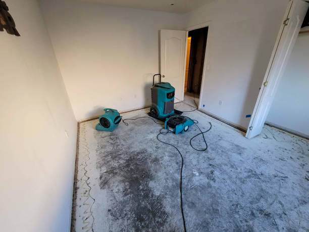 Best Residential water damage restoration  in Powhatan Point, OH