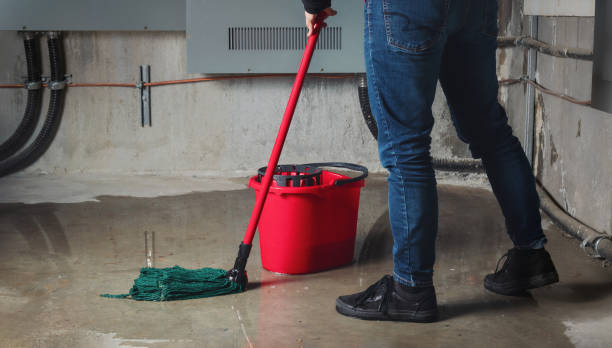 Best Professional water damage repair  in Powhatan Point, OH
