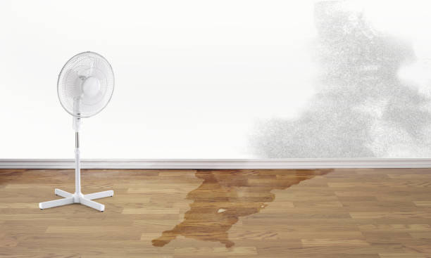 Water damage restoration process in OH