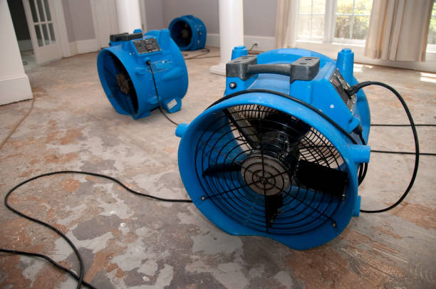 Professional Water damage restoration in OH