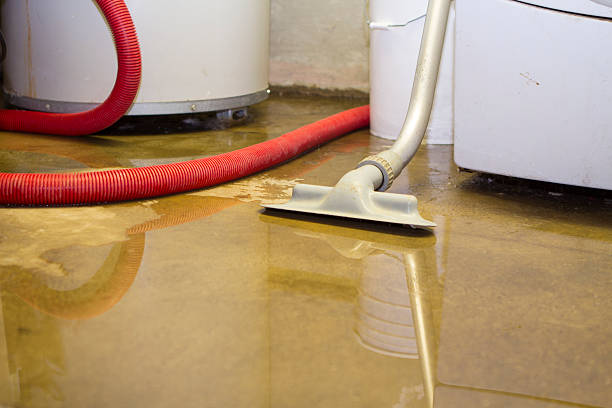 Best Commercial water damage restoration  in Powhatan Point, OH