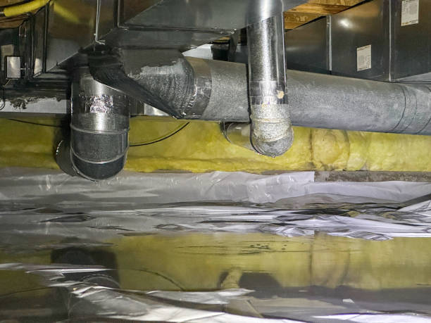 Best Mold removal after water damage  in Powhatan Point, OH