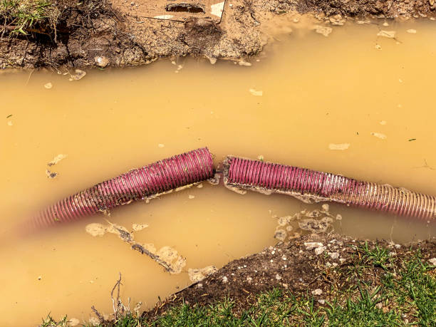 Best Commercial water damage restoration  in Powhatan Point, OH
