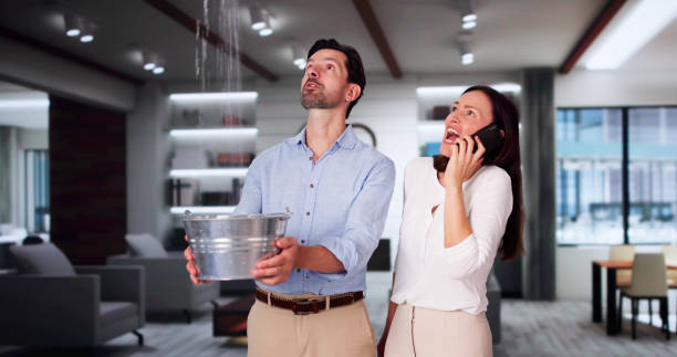 Best 24-hour water damage restoration  in Powhatan Point, OH